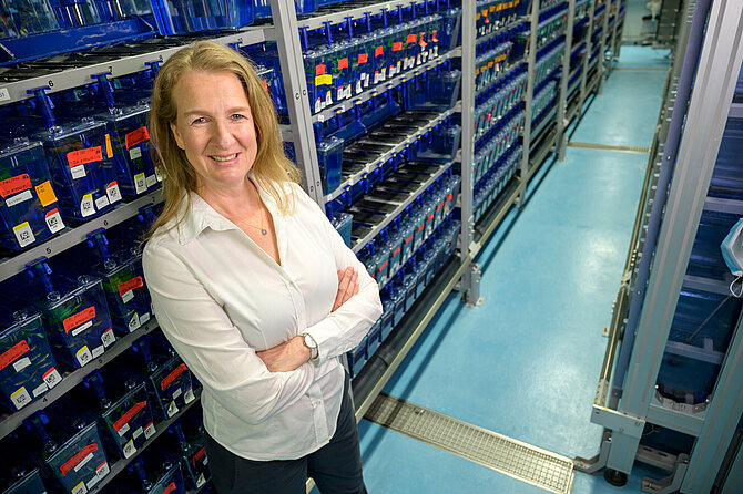 Portrait Bettina Schmidt